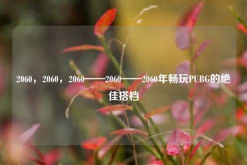 2060，2060，2060——2060——2060年畅玩PUBG的绝佳搭档