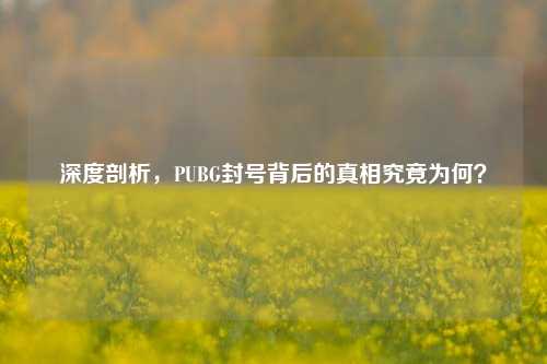 深度剖析,PUBG封号背后的真相究竟为何?