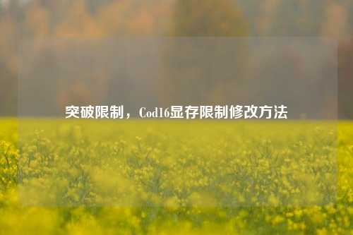 突破限制，Cod16显存限制修改方法