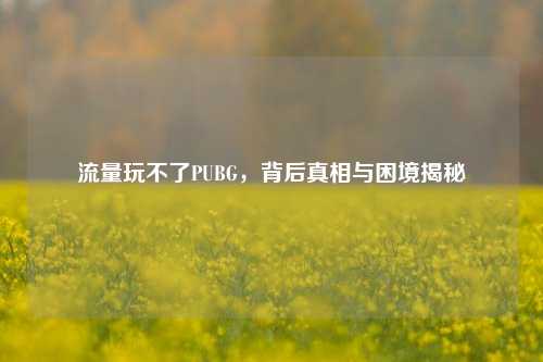流量玩不了PUBG,背后真相与困境揭秘