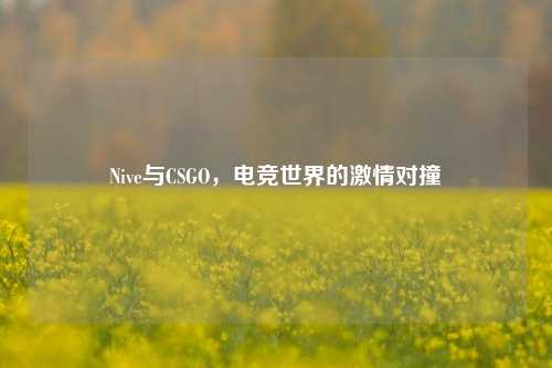 Nive与CSGO，电竞世界的激情对撞