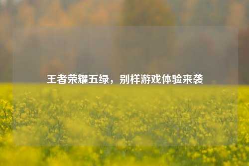 王者荣耀五绿，别样游戏体验来袭