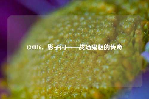 COD16，影子闪——战场鬼魅的传奇
