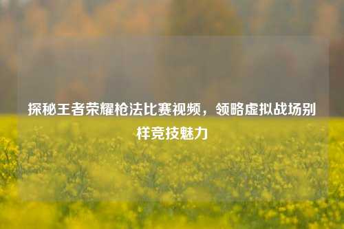 探秘王者荣耀枪法比赛视频，领略虚拟战场别样竞技魅力