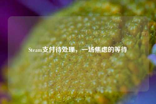 Steam支付待处理，一场焦虑的等待