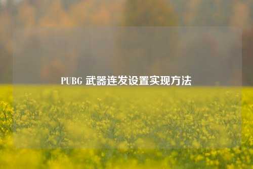 PUBG 武器连发设置实现方法