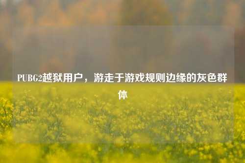 PUBG2越狱用户，游走于游戏规则边缘的灰色群体