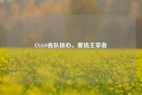 CS:GO各队核心，赛场主宰者
