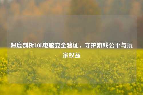 深度剖析LOL电脑安全验证，守护游戏公平与玩家权益