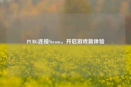 PUBG连接Steam，开启游戏新体验