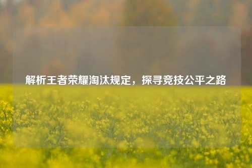 解析王者荣耀淘汰规定，探寻竞技公平之路