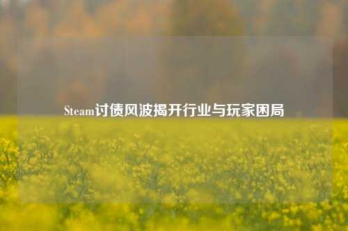 Steam讨债风波揭开行业与玩家困局