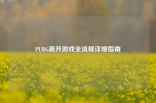PUBG离开游戏全流程详细指南
