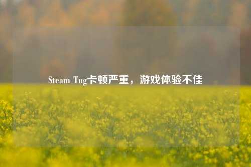 Steam Tug卡顿严重，游戏体验不佳
