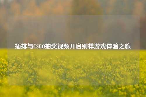 插排与CSGO抽奖视频开启别样游戏体验之旅
