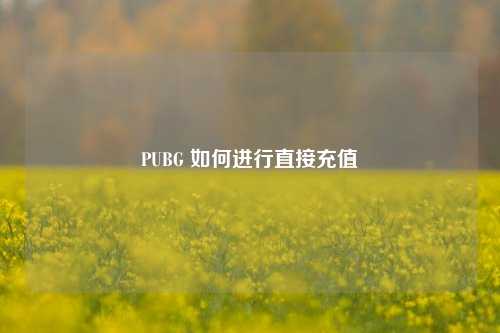 PUBG 如何进行直接充值