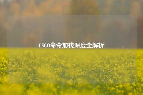 CSGO命令加钱深度全解析
