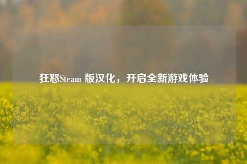 狂怒Steam 版汉化，开启全新游戏体验