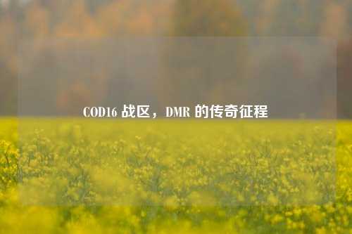 COD16 战区，DMR 的传奇征程