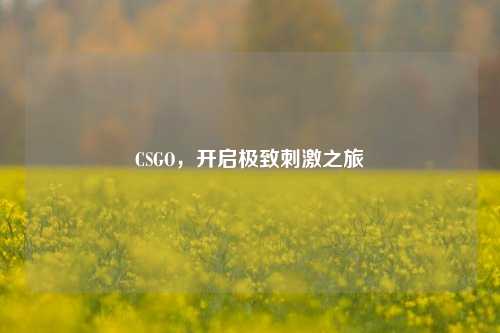 CSGO，开启极致刺激之旅