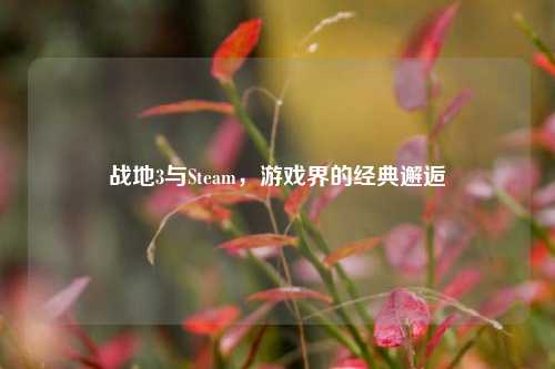战地3与Steam，游戏界的经典邂逅