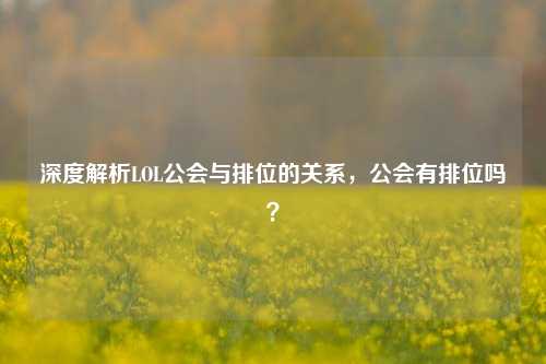 深度解析LOL公会与排位的关系,公会有排位吗?