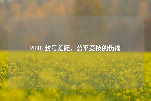 PUBG 封号差距,公平竞技的伤痛