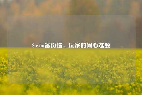 Steam备份慢，玩家的闹心难题