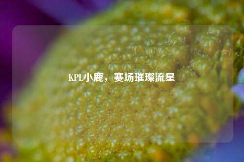 KPL小鹿，赛场璀璨流星