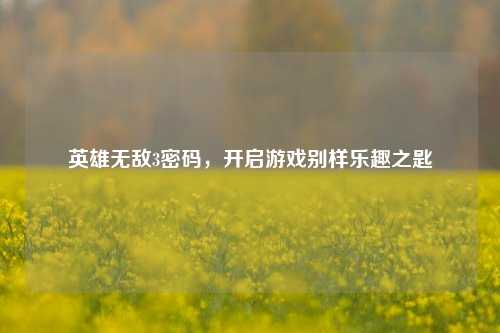 英雄无敌3密码，开启游戏别样乐趣之匙