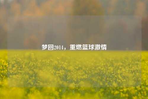 梦回2014,重燃篮球激情