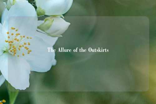 The Allure of the Outskirts
