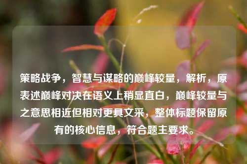 策略战争，智慧与谋略的巅峰较量，解析，原表述巅峰对决在语义上稍显直白，巅峰较量与之意思相近但相对更具文采，整体标题保留原有的核心信息，符合题主要求。