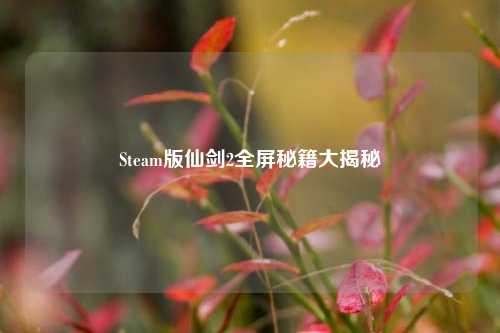 Steam版仙剑2全屏秘籍大揭秘