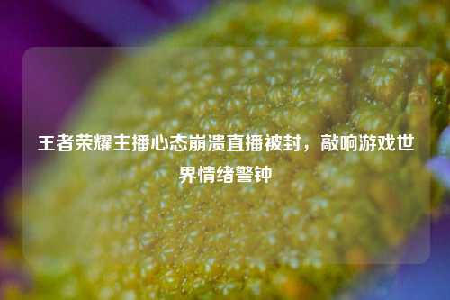 王者荣耀主播心态崩溃直播被封，敲响游戏世界情绪警钟