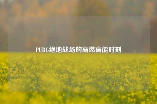PUBG绝地战场的高燃高能时刻