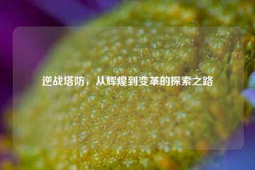 逆战塔防，从辉煌到变革的探索之路