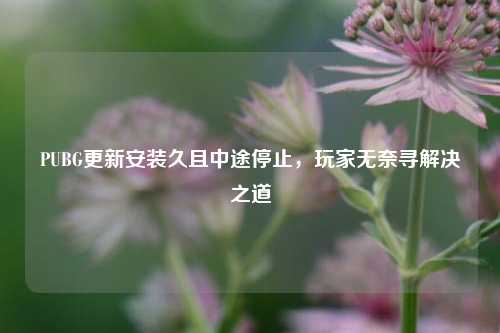 PUBG更新安装久且中途停止，玩家无奈寻解决之道