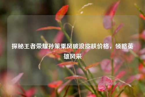探秘王者荣耀孙策乘风破浪皮肤价格，领略英雄风采