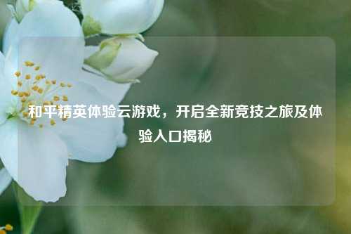 和平精英体验云游戏，开启全新竞技之旅及体验入口揭秘
