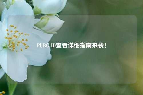 PUBG ID查看详细指南来袭！