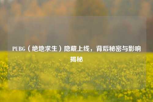 PUBG（绝地求生）隐藏上线，背后秘密与影响揭秘