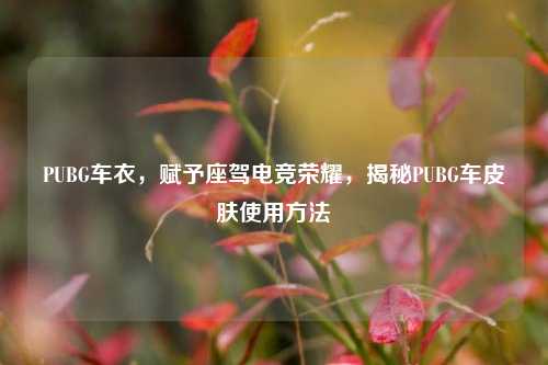 PUBG车衣，赋予座驾电竞荣耀，揭秘PUBG车皮肤使用方法