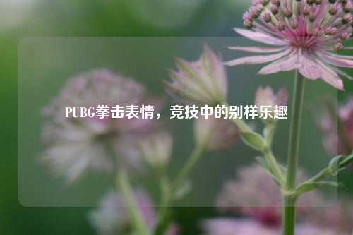 PUBG拳击表情，竞技中的别样乐趣