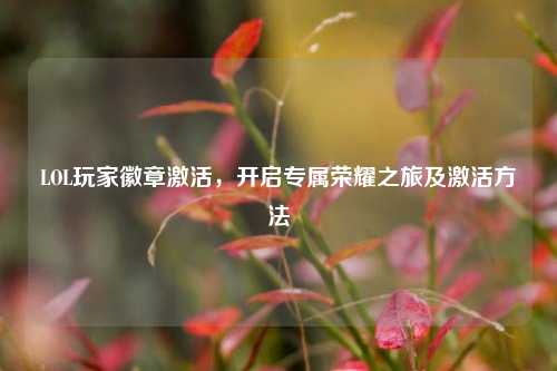 LOL玩家徽章激活，开启专属荣耀之旅及激活方法