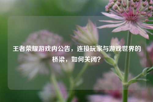 王者荣耀游戏内公告，连接玩家与游戏世界的桥梁，如何关闭？
