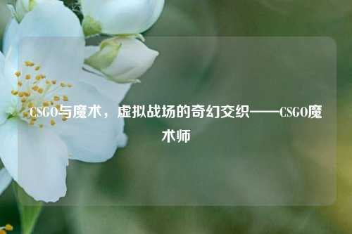 CSGO与魔术，虚拟战场的奇幻交织——CSGO魔术师