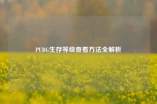 PUBG生存等级查看方法全解析