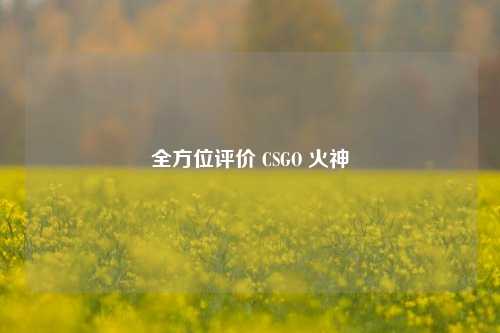 全方位评价 CSGO 火神