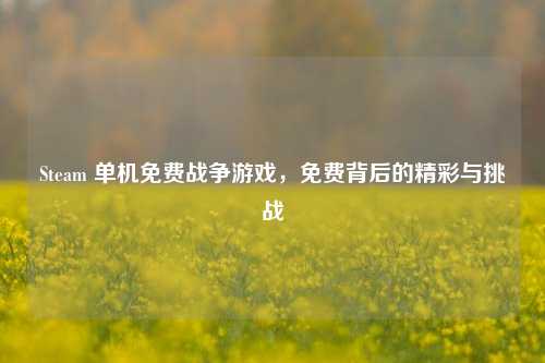 Steam 单机免费战争游戏，免费背后的精彩与挑战